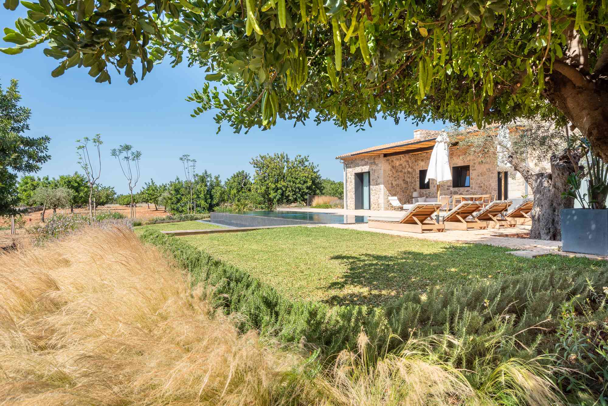 Diseño de jardín en Lloseta, Mallorca | Jardinería Bisanyes