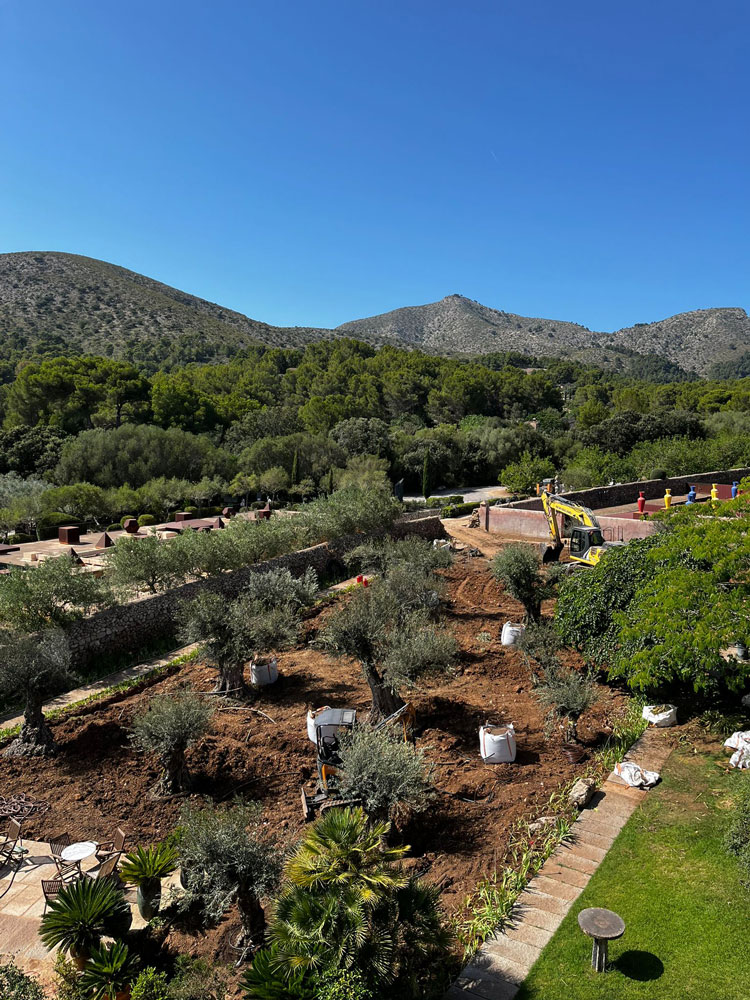 Diseño de jardín de Olive Art, Mallorca | Jardinería Bisanyes