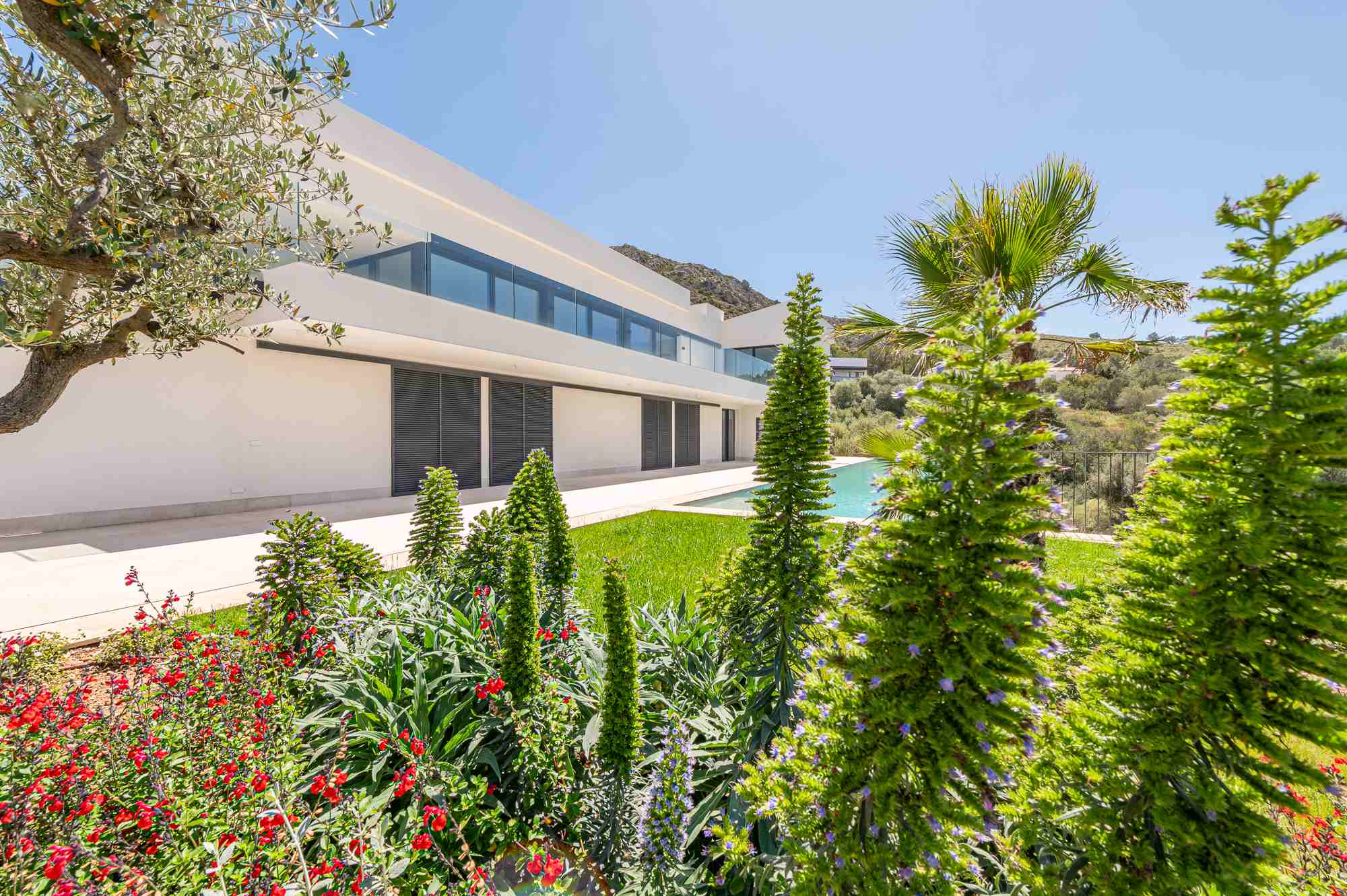 Diseño de jardín en Bonaire, Mallorca | Jardinería Bisanyes
