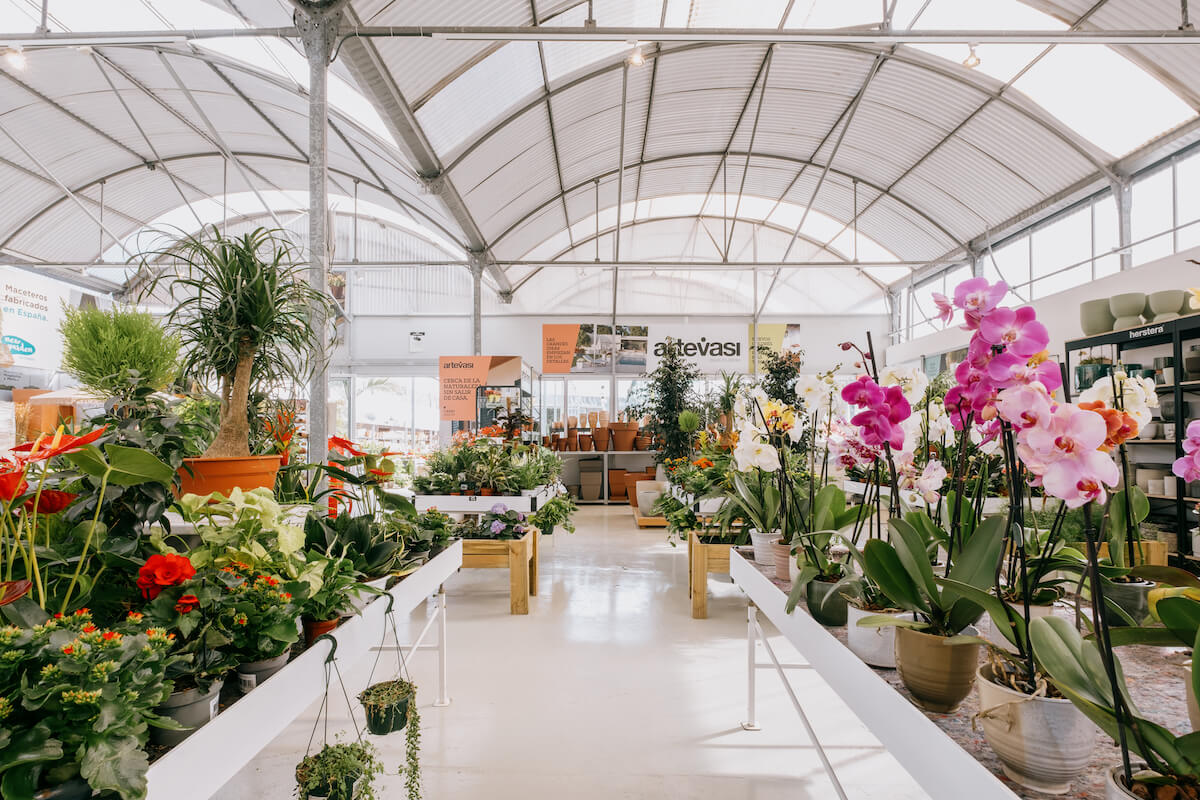 Plantas y jardinería en Mallorca | Jardinería Bisanyes