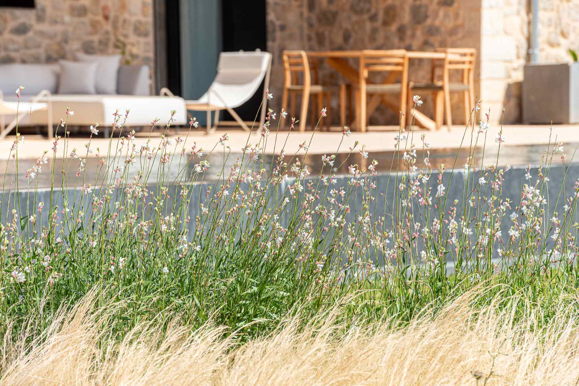 Diseño de jardín en Lloseta, Mallorca | Jardinería Bisanyes