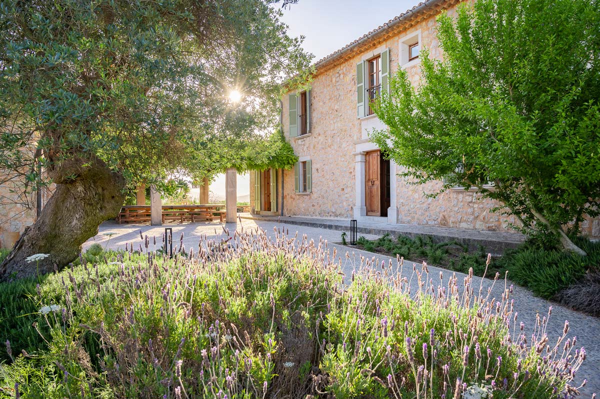 Diseño de jardín en Selva, Mallorca | Jardinería Bisanyes