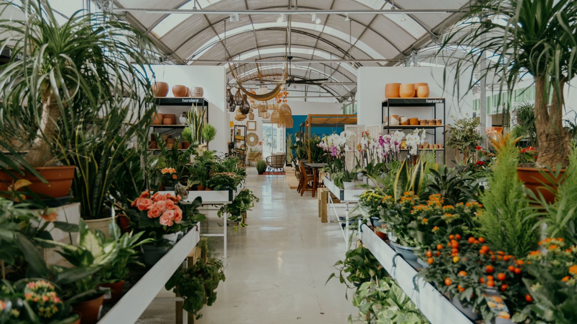 Your trusted garden center in the north of Mallorca