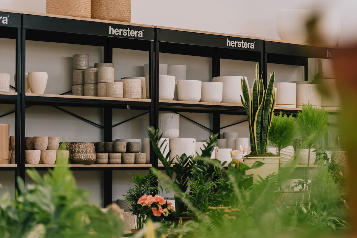 Decoración para casa y jardín | Jardinería Bisanyes