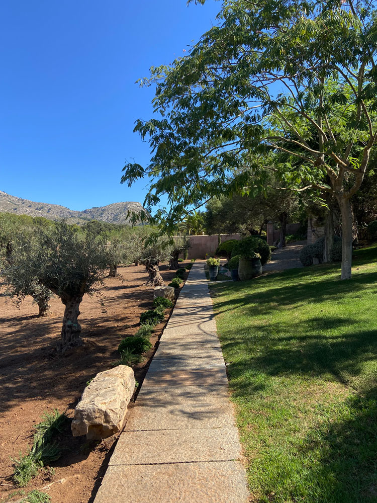 Diseño de jardín de Olive Art, Mallorca | Jardinería Bisanyes
