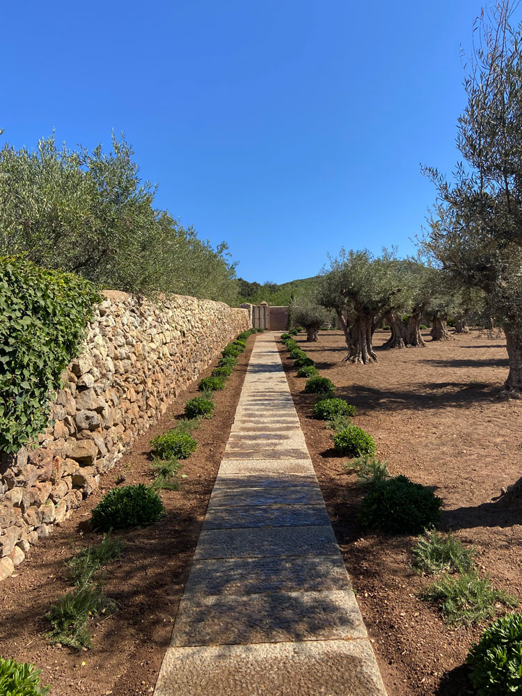 Diseño de jardín de Olive Art, Mallorca | Jardinería Bisanyes