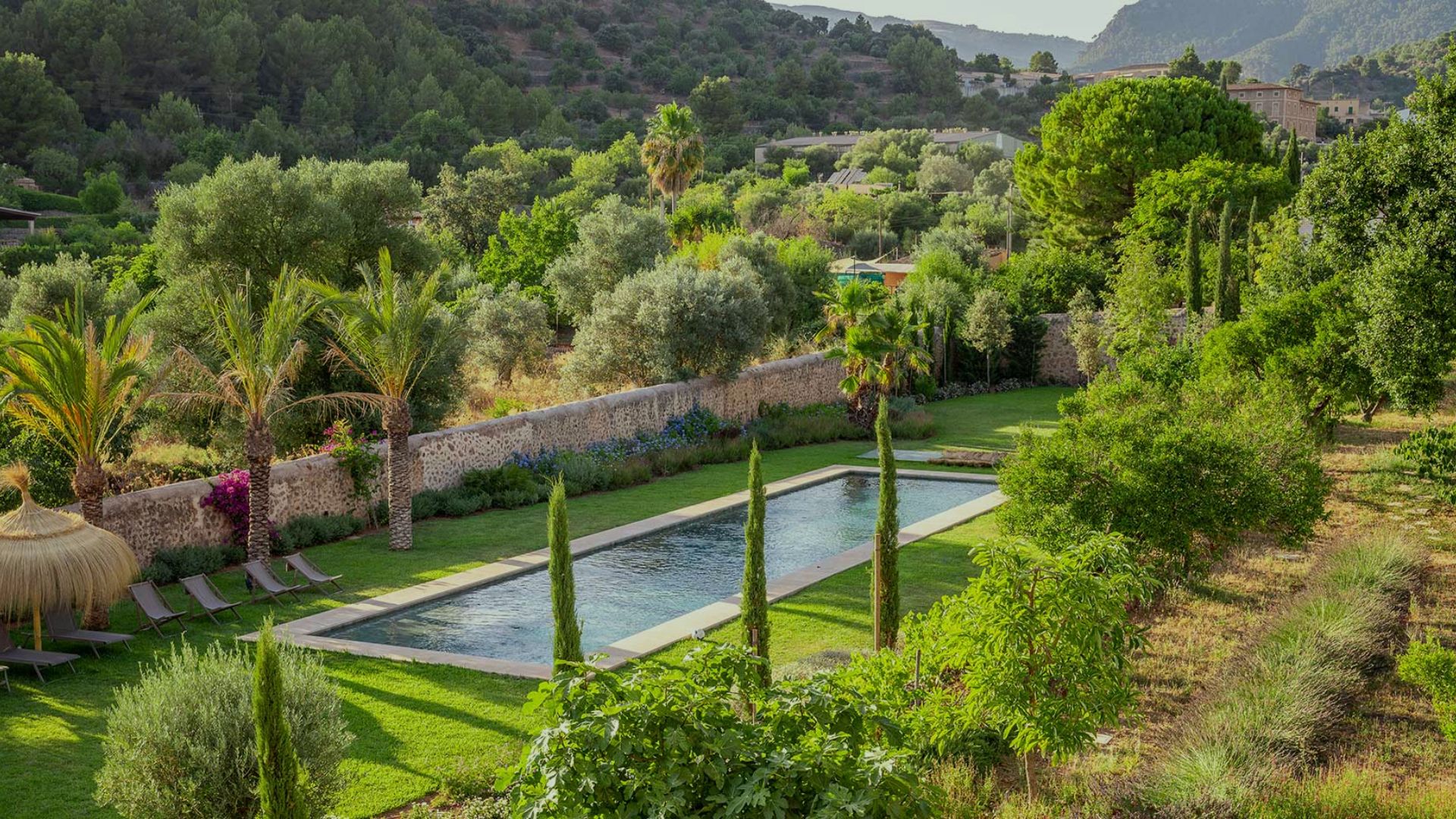 Your trusted garden center in the north of Mallorca