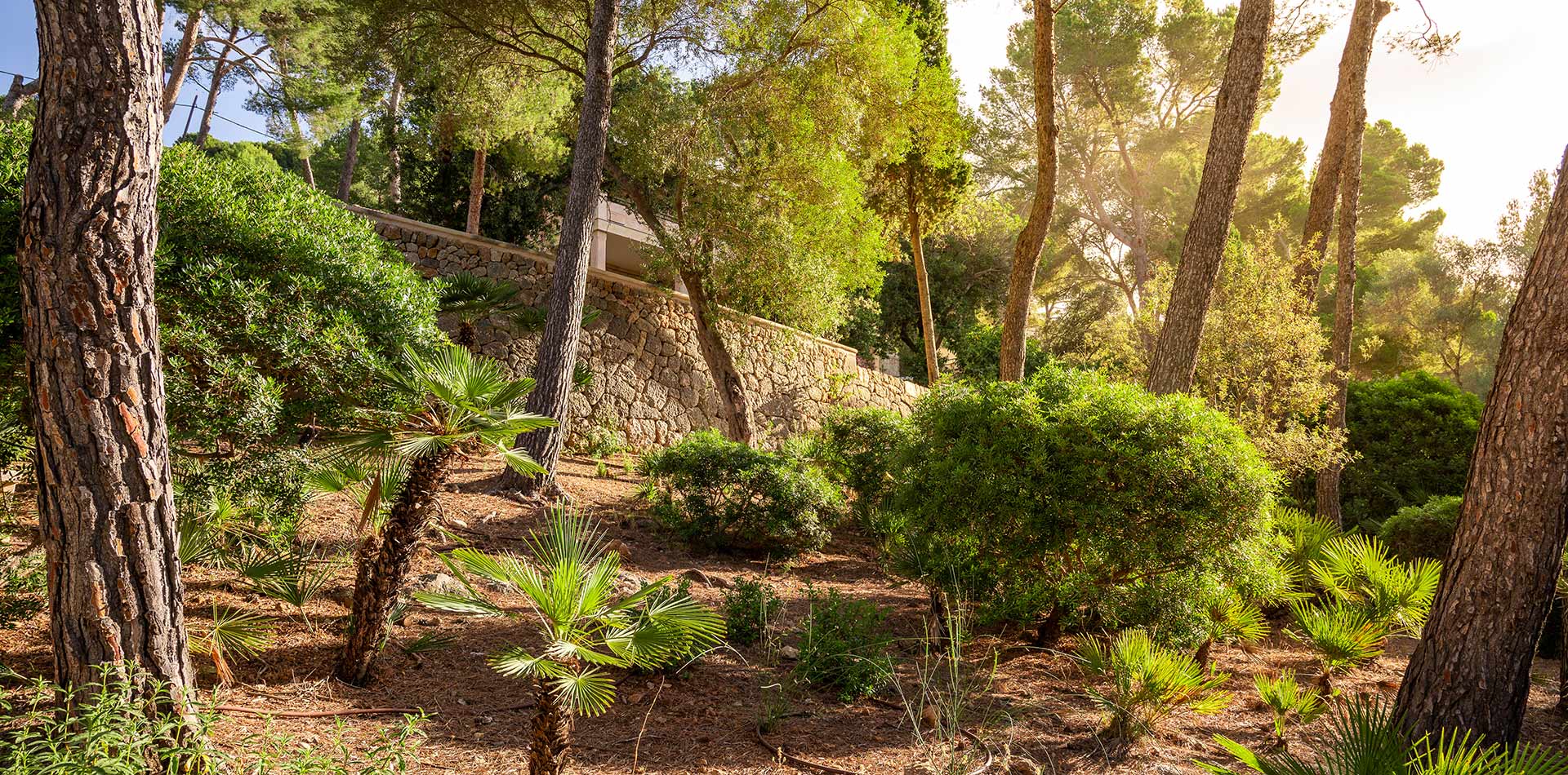 Diseño de jardín en Bunyola, Mallorca | Jardinería Bisanyes