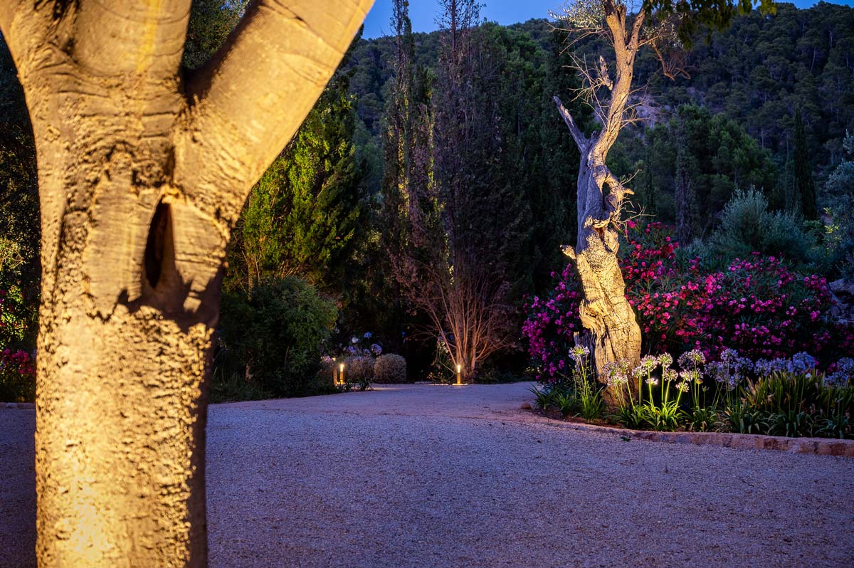Diseño de jardín en Bunyola, Mallorca | Jardinería Bisanyes