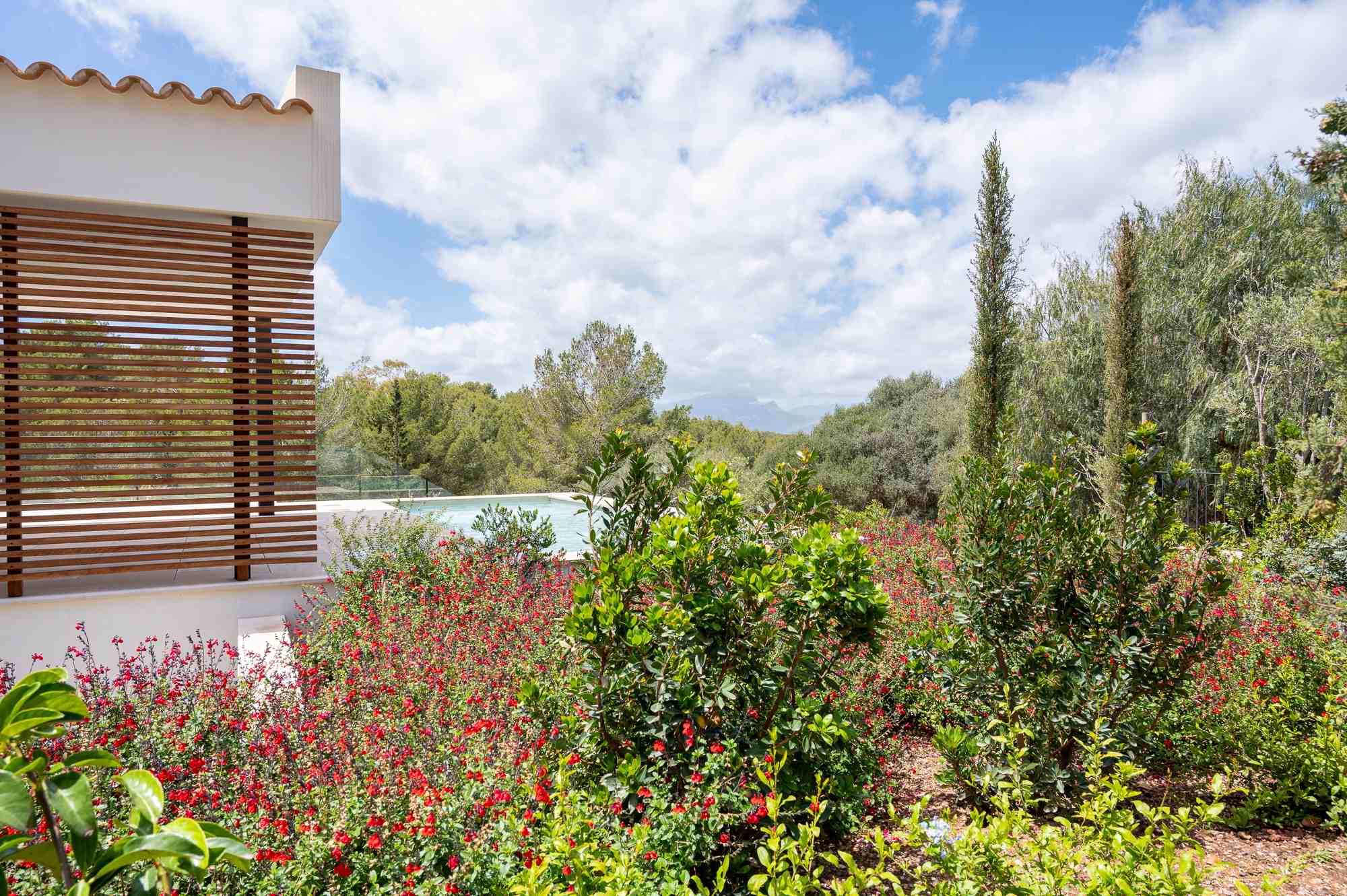Diseño de jardín en Bonaire, Mallorca | Jardinería Bisanyes