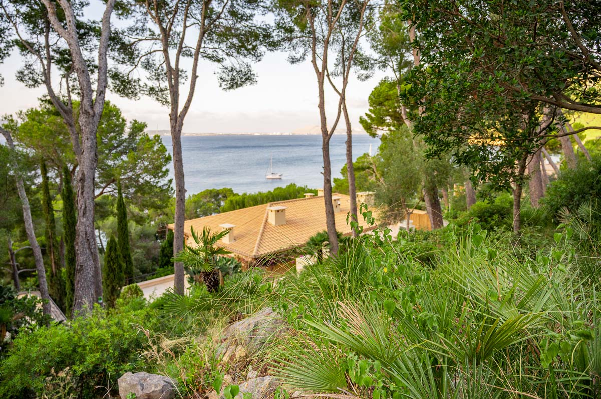 Diseño de jardín en Bunyola, Mallorca | Jardinería Bisanyes
