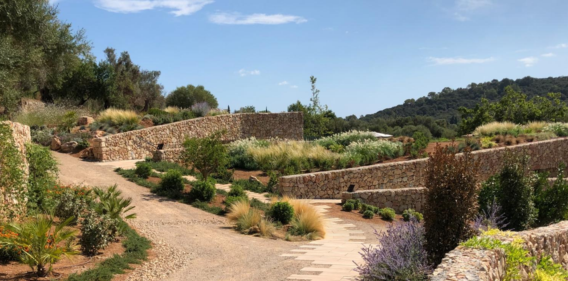 Diseño de jardín en Hotel Son Brull, Mallorca | Jardinería Bisanyes