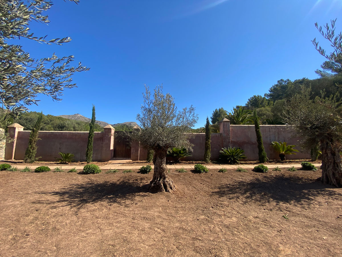 Diseño de jardín de Olive Art, Mallorca | Jardinería Bisanyes