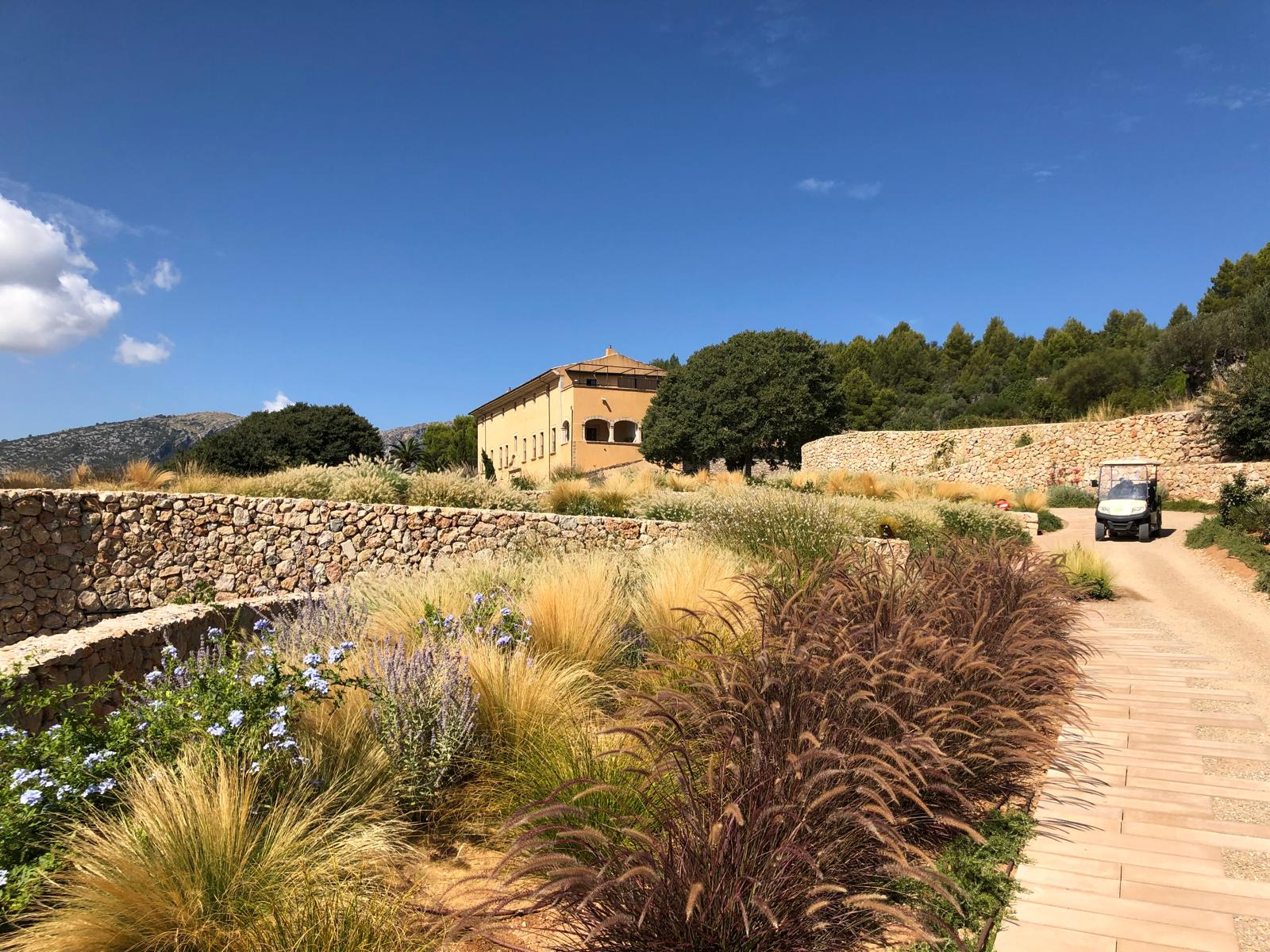 Diseño de jardín en Hotel Son Brull, Mallorca | Jardinería Bisanyes