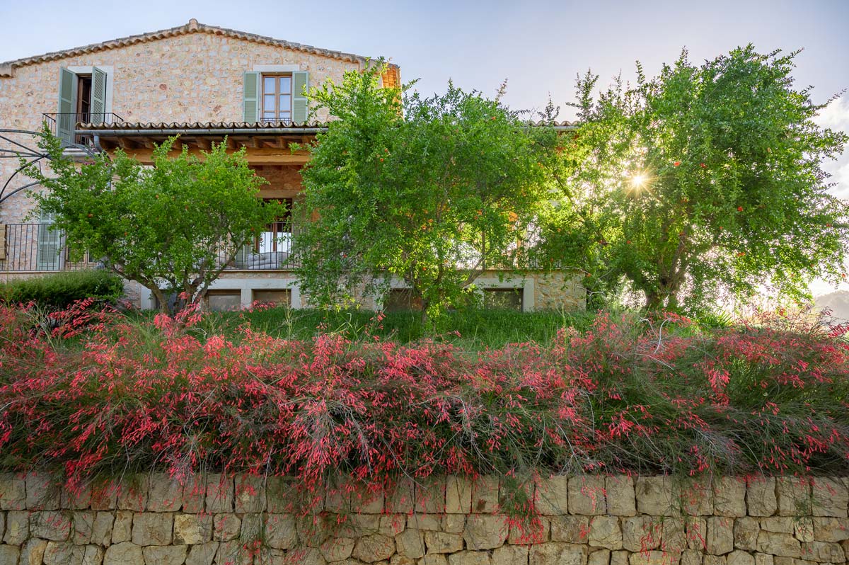 Diseño de jardín en Selva, Mallorca | Jardinería Bisanyes