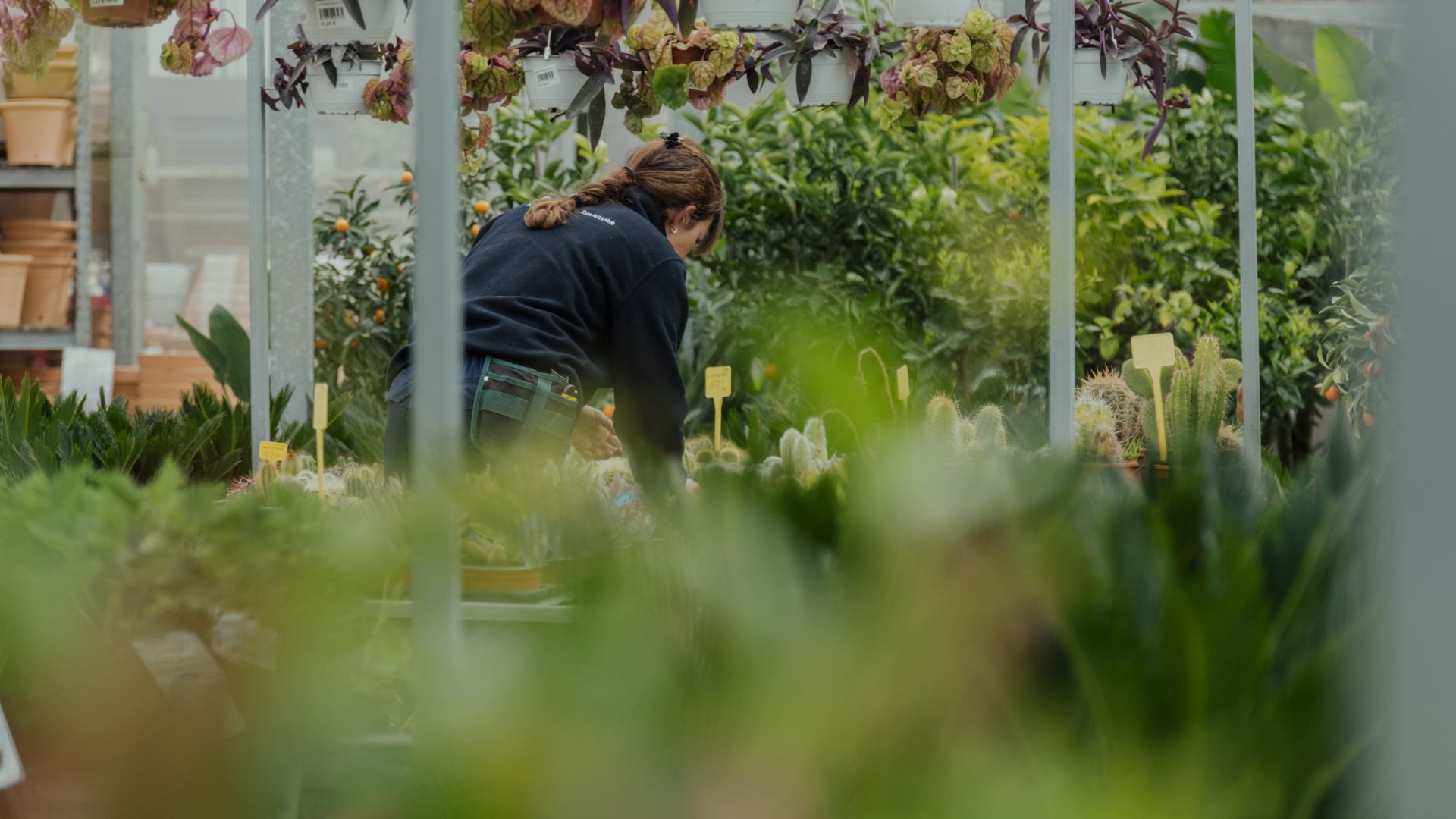 Your trusted garden center in the north of Mallorca