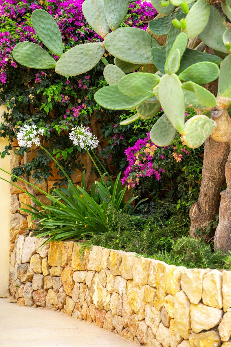 Diseño de jardín en Bunyola, Mallorca | Jardinería Bisanyes