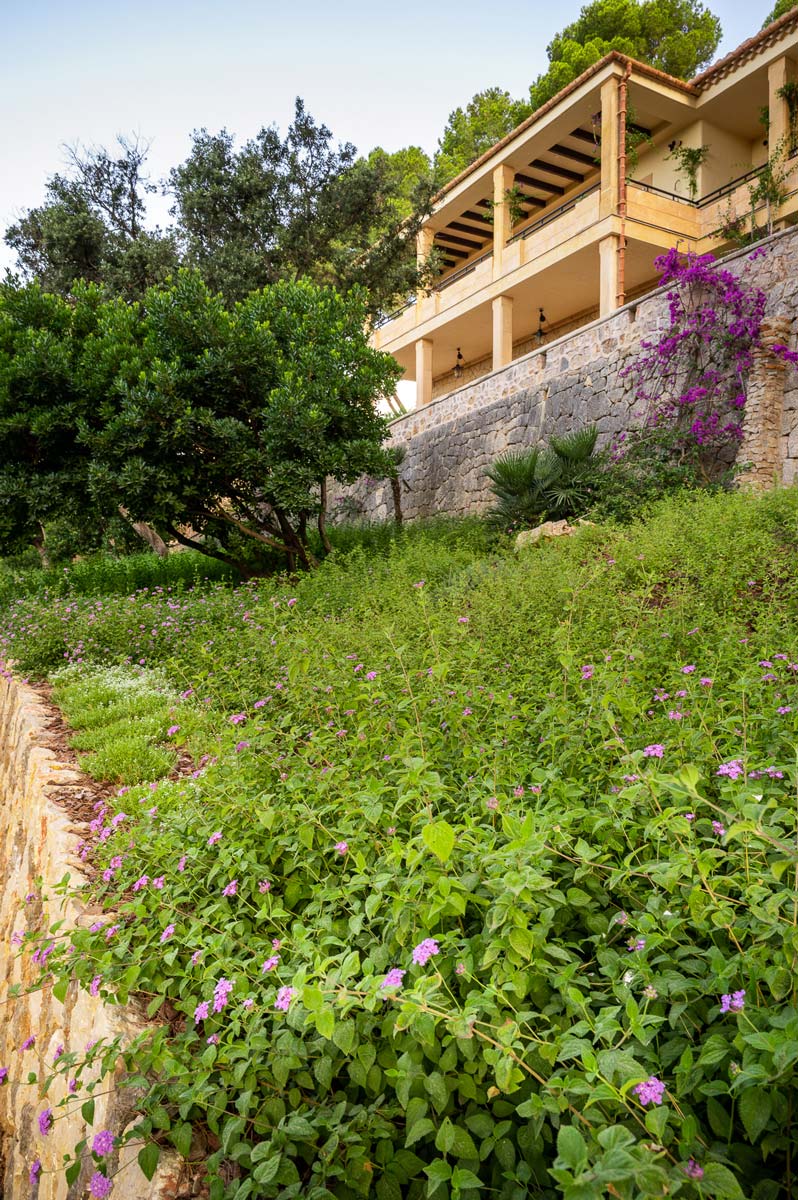 Diseño de jardín en Bunyola, Mallorca | Jardinería Bisanyes