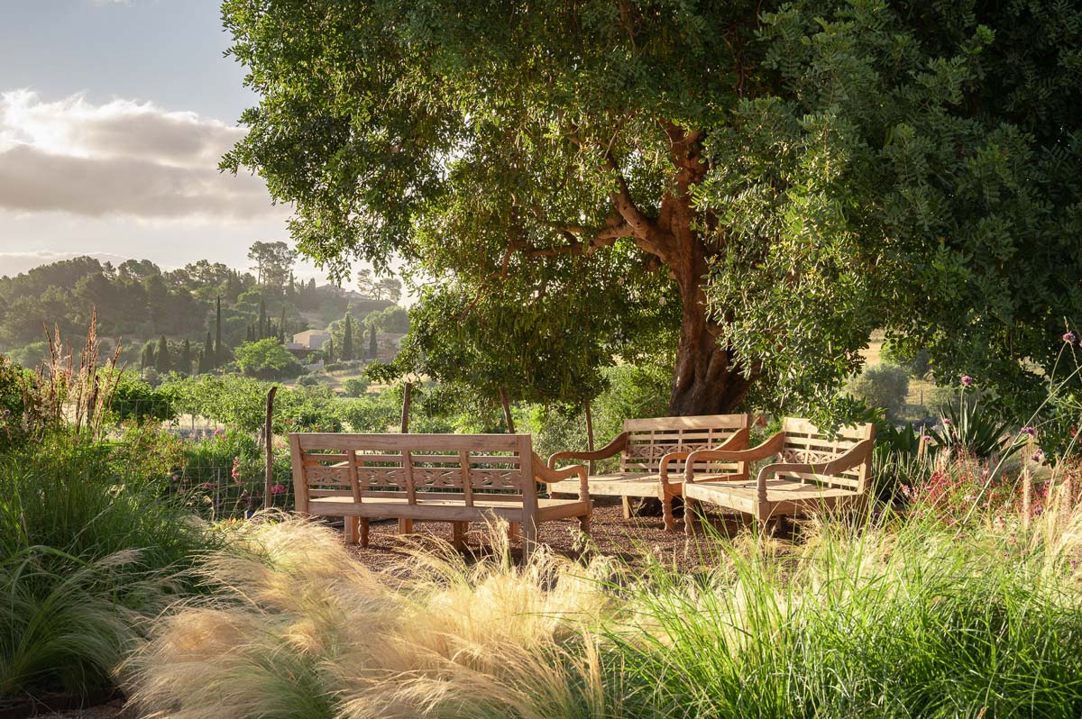 Diseño de jardín en Selva, Mallorca | Jardinería Bisanyes