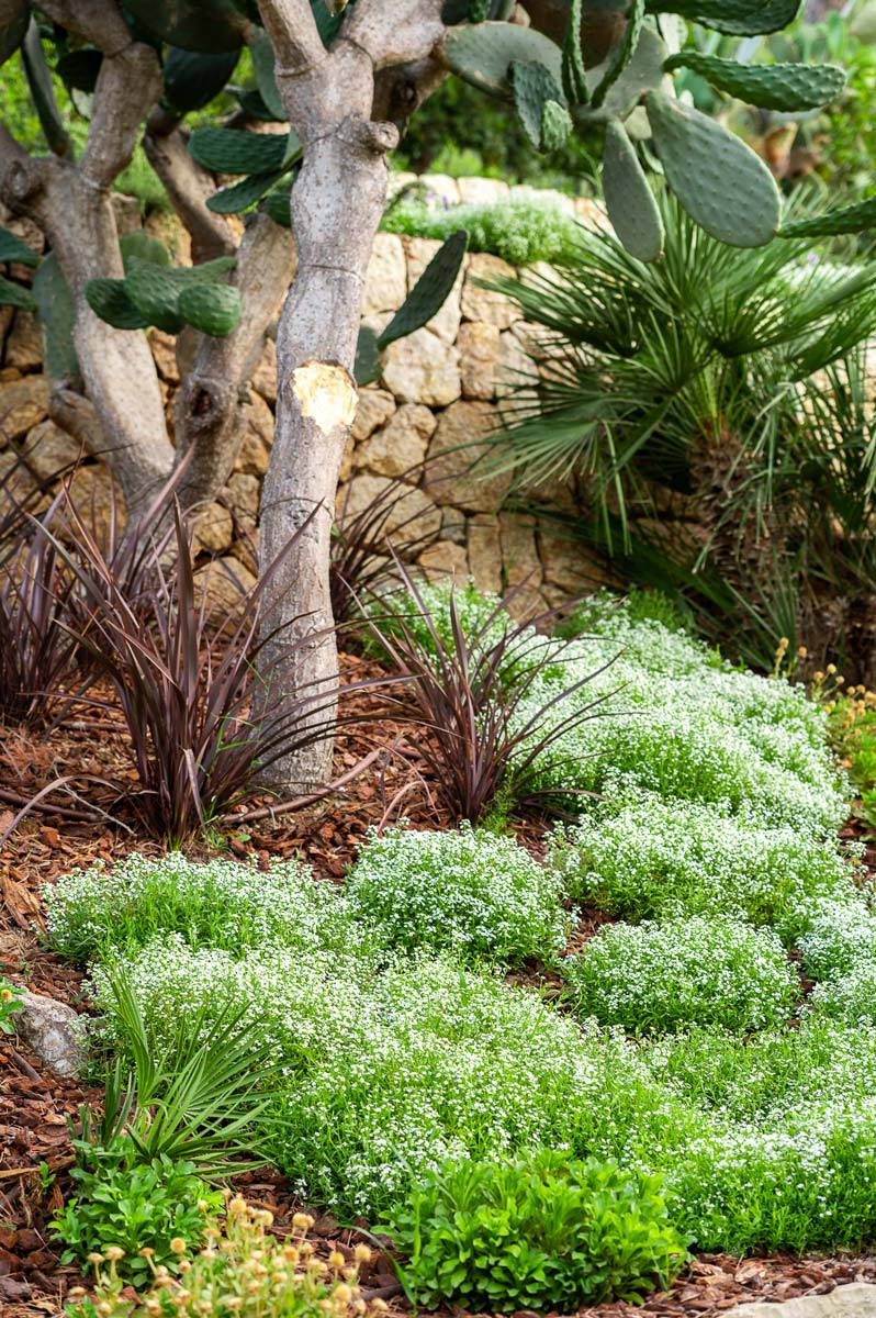 Diseño de jardín en Bunyola, Mallorca | Jardinería Bisanyes