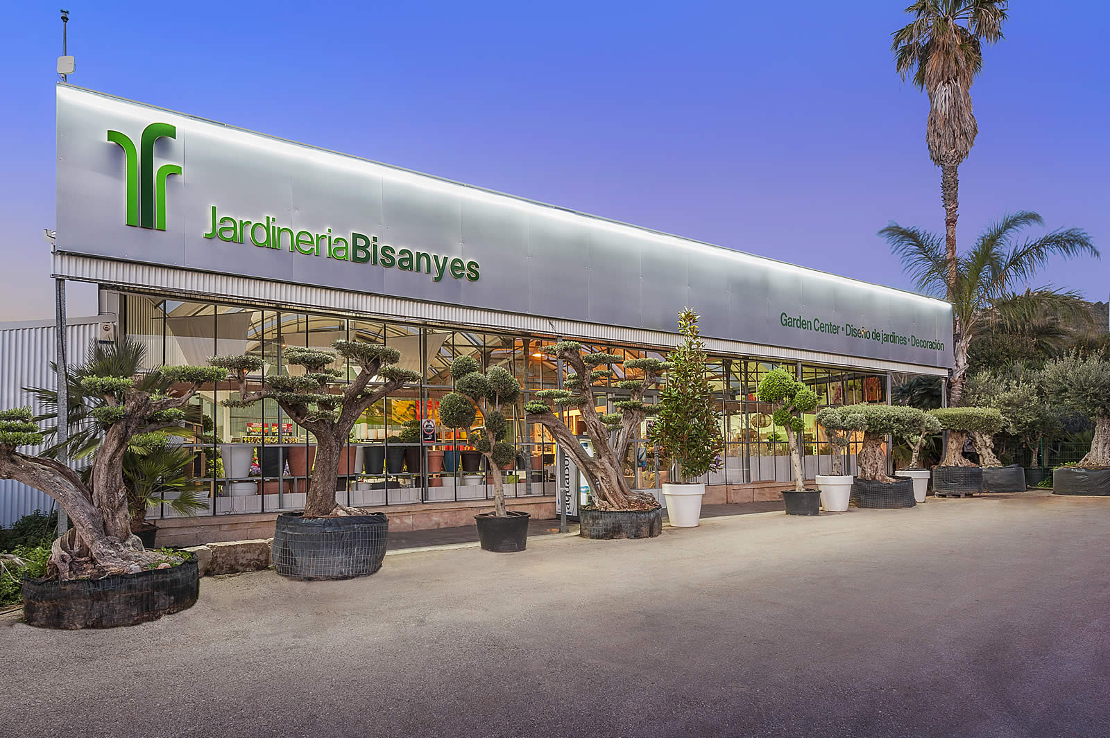 Plantas y jardinería en Mallorca | Jardinería Bisanyes