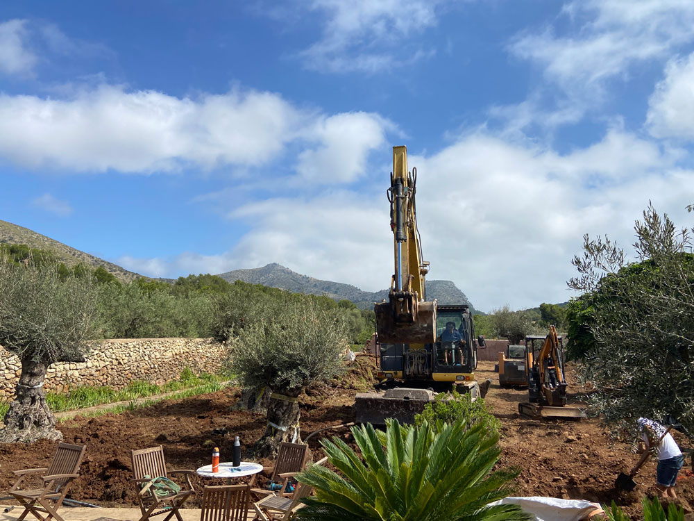Diseño de jardín de Olive Art, Mallorca | Jardinería Bisanyes