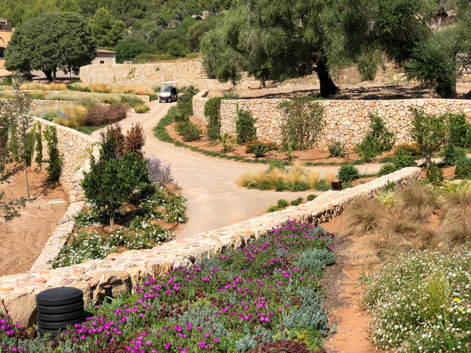 Diseño de jardín en Hotel Son Brull, Mallorca | Jardinería Bisanyes