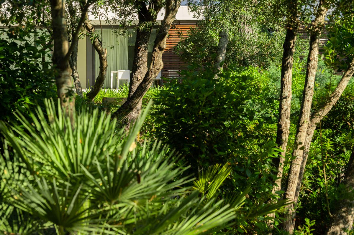 Diseño de jardín en La Font, Mallorca | Jardinería Bisanyes