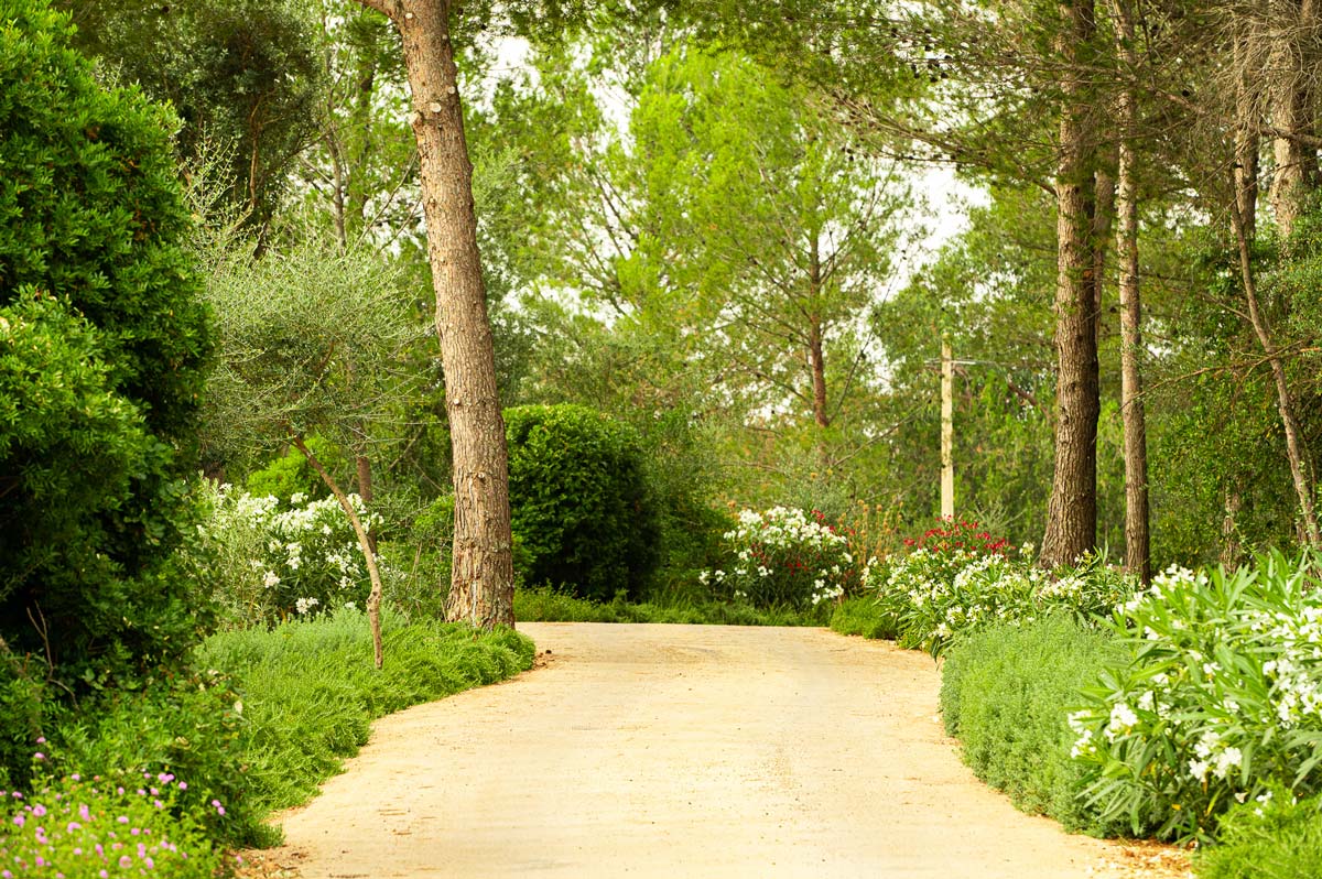 Diseño de jardín en Bunyola, Mallorca | Jardinería Bisanyes