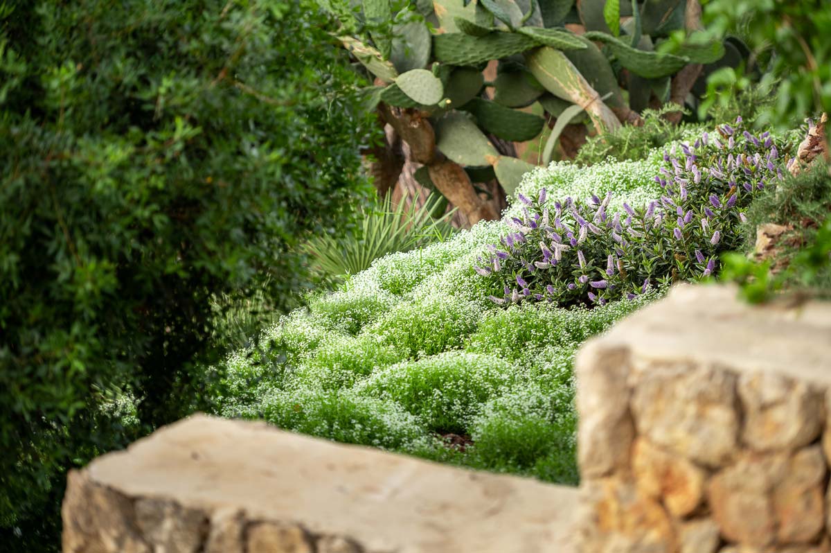 Diseño de jardín en Bunyola, Mallorca | Jardinería Bisanyes