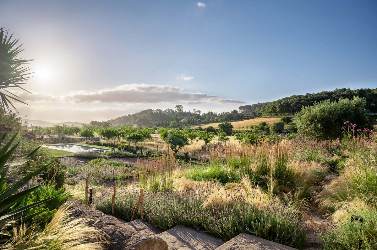 Diseño de jardín en Selva, Mallorca | Jardinería Bisanyes