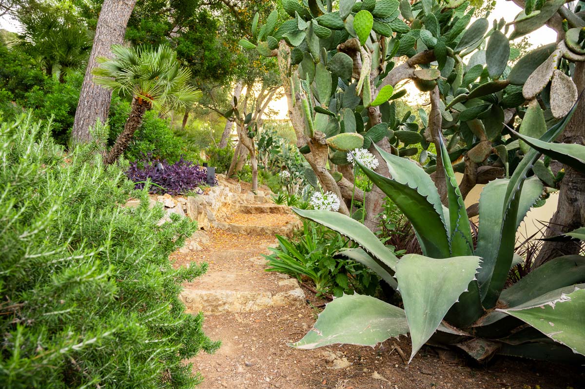 Diseño de jardín en Bunyola, Mallorca | Jardinería Bisanyes