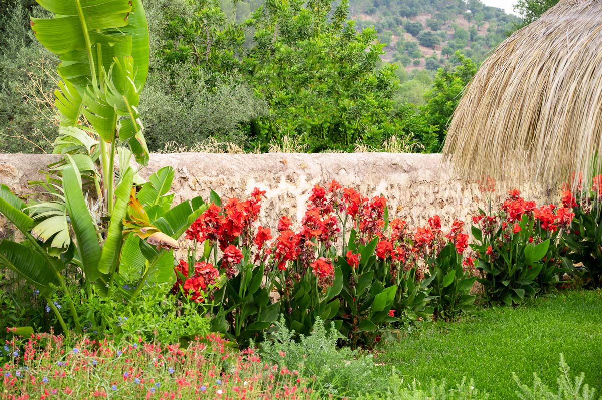 Diseño de jardín en Bunyola, Mallorca | Jardinería Bisanyes
