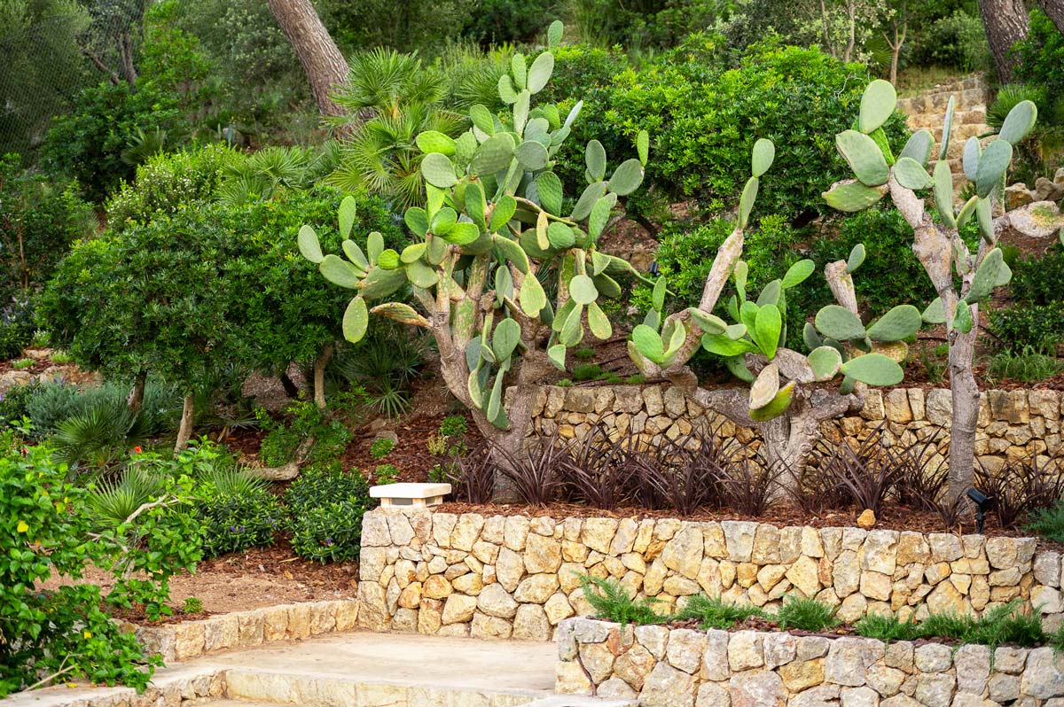 Diseño de jardín en Bunyola, Mallorca | Jardinería Bisanyes