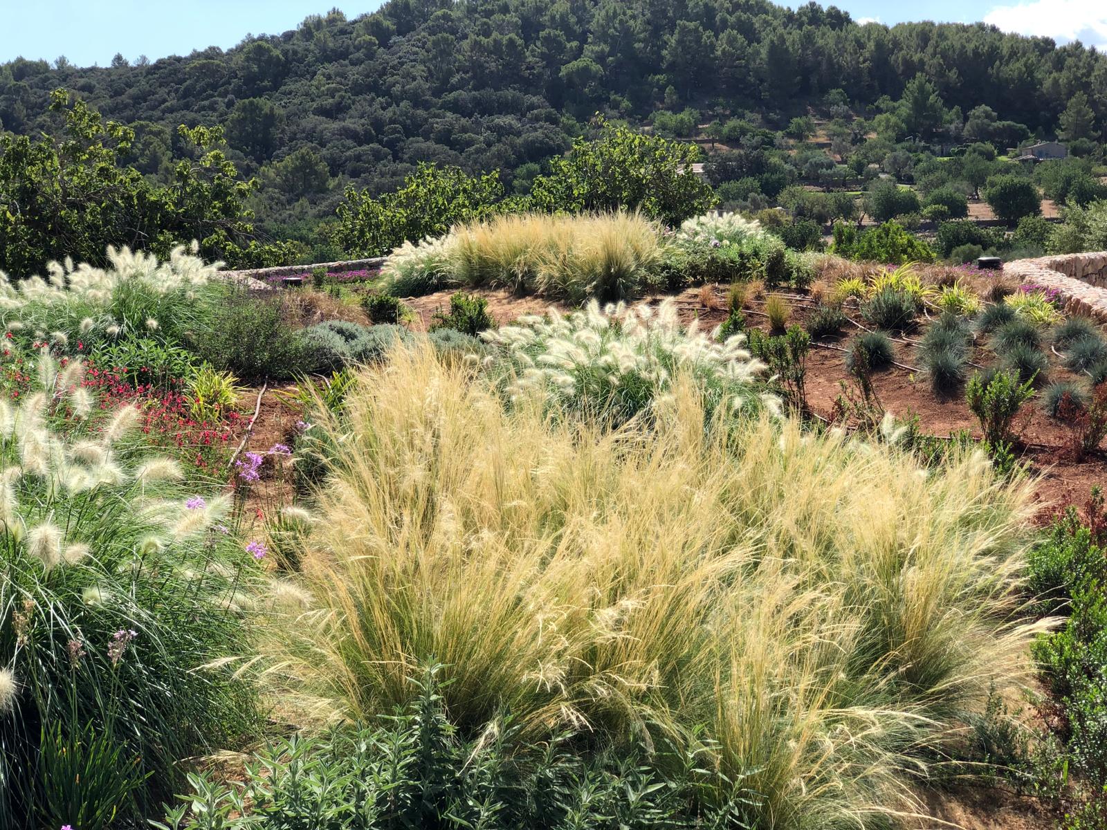 Diseño de jardín en Hotel Son Brull, Mallorca | Jardinería Bisanyes