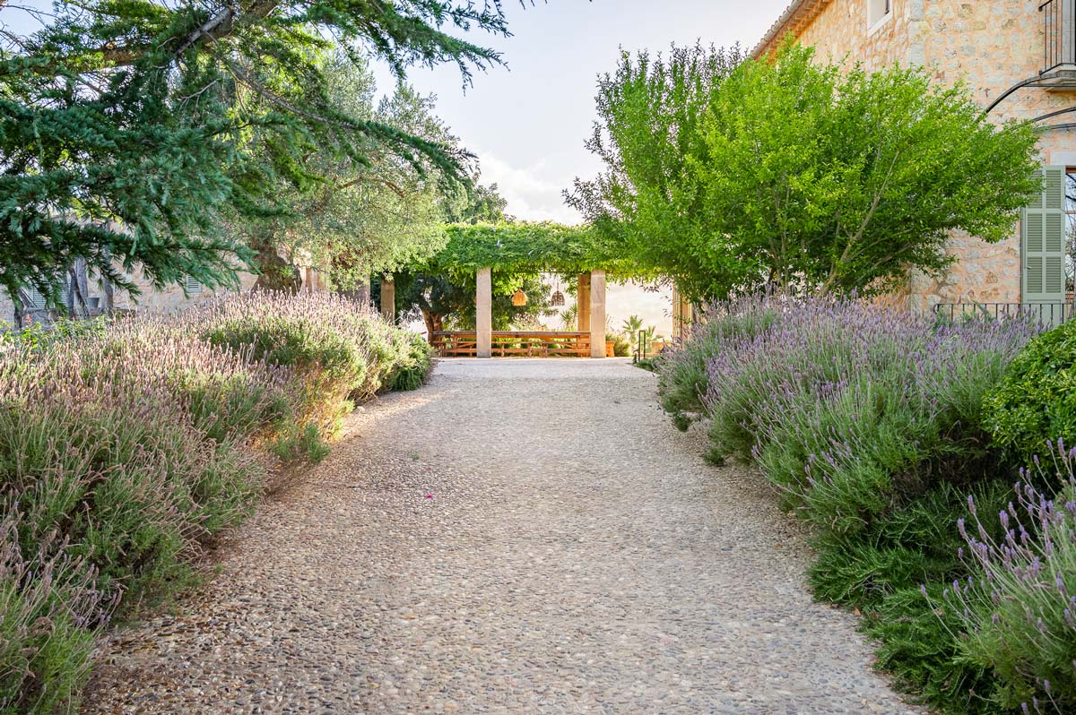 Diseño de jardín en Selva, Mallorca | Jardinería Bisanyes