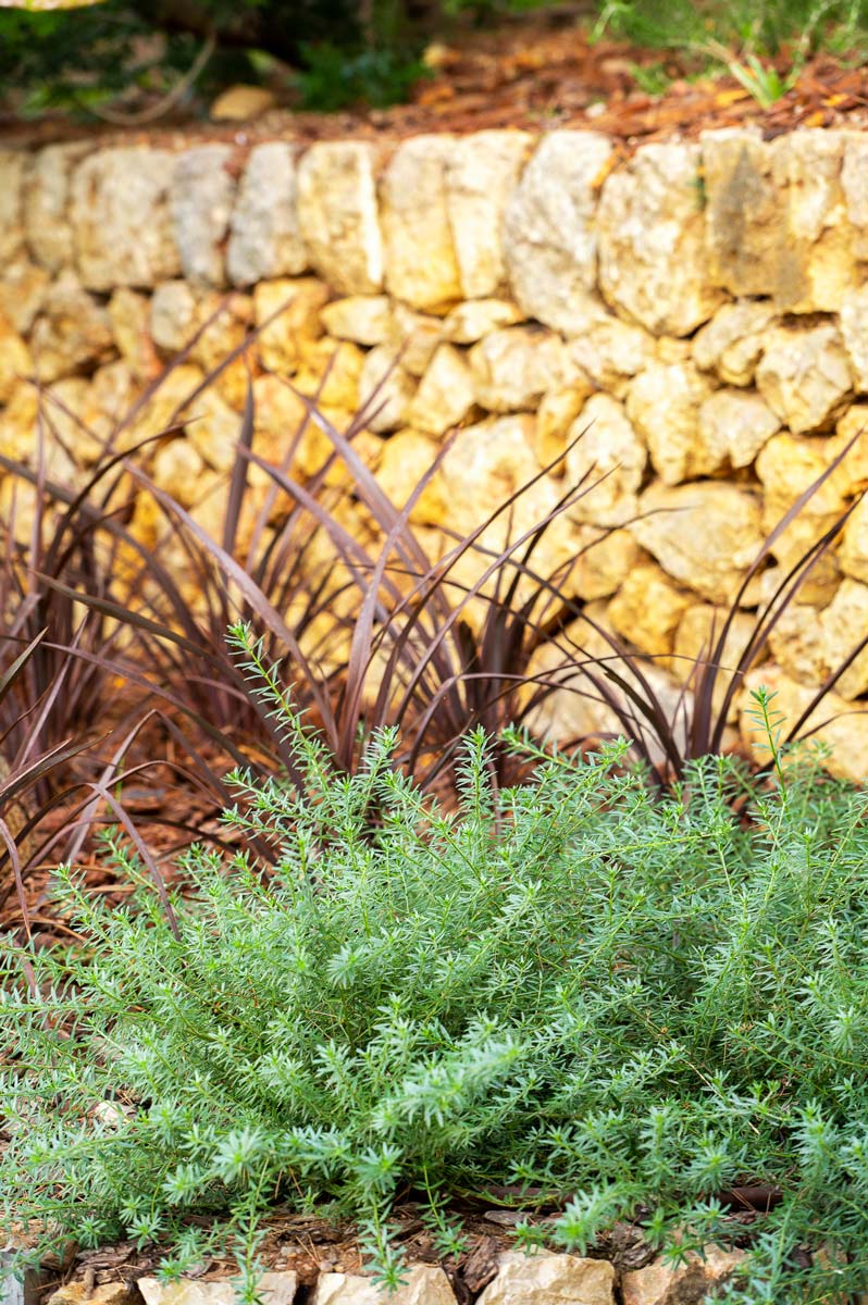 Diseño de jardín en Bunyola, Mallorca | Jardinería Bisanyes