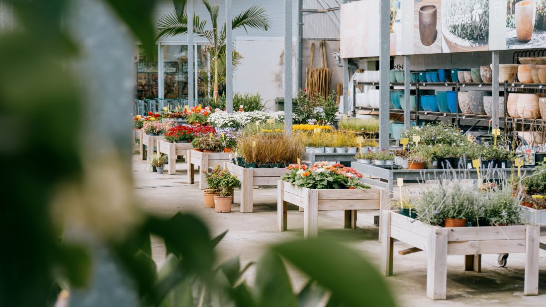 Jardineria Bisanyes: Centro de jardinería en Alcudia (Mallorca)