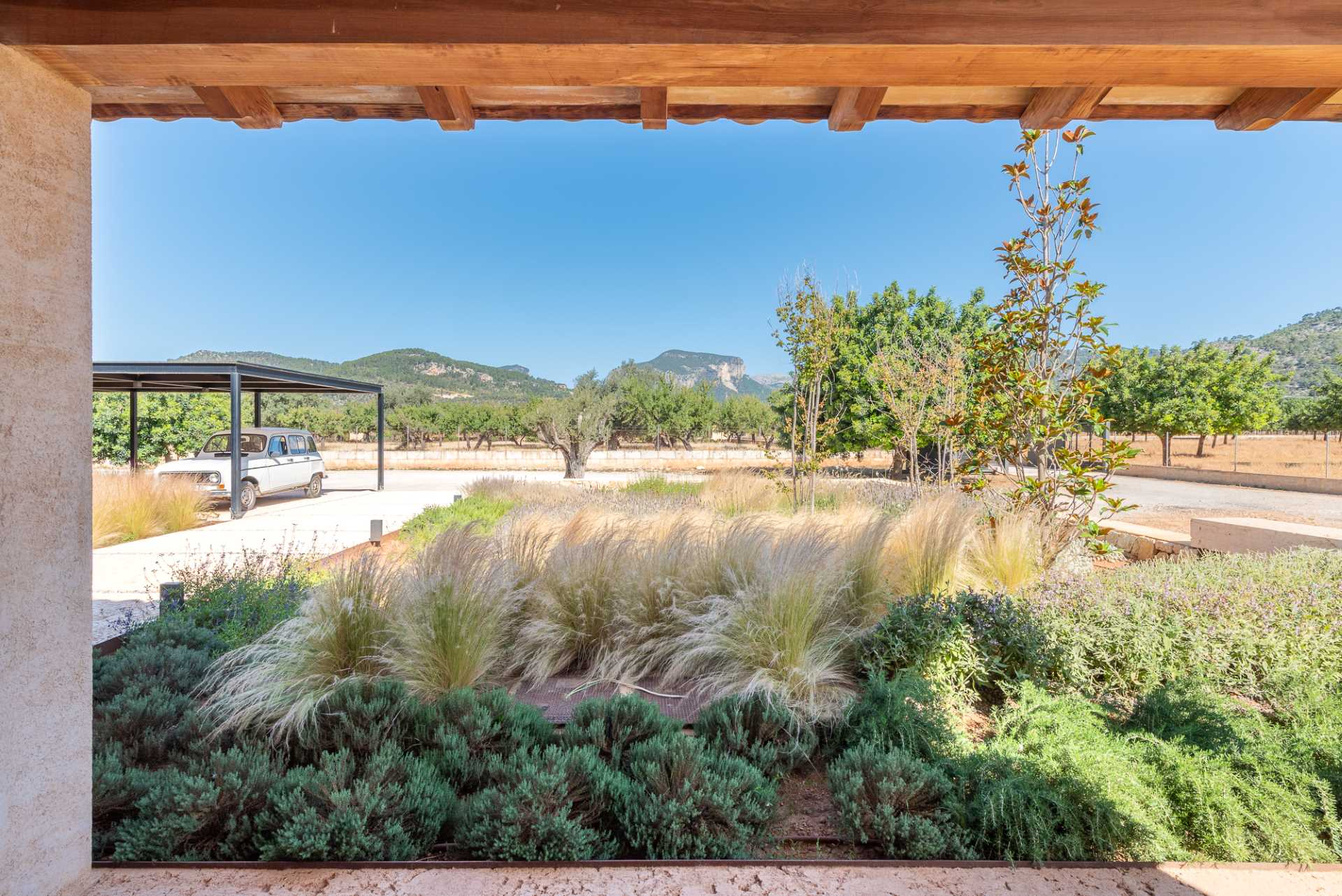 Diseño de jardín en Lloseta, Mallorca | Jardinería Bisanyes