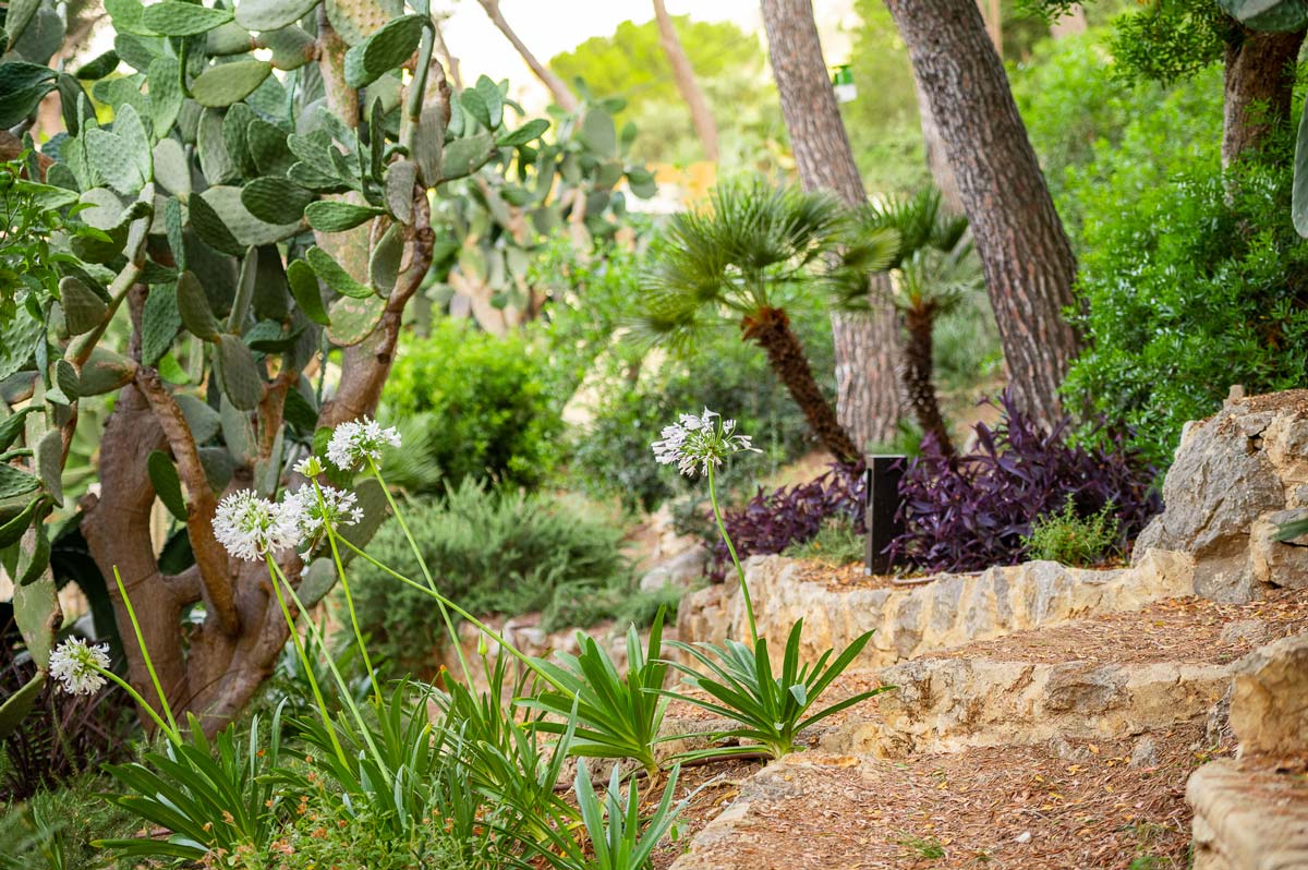 Diseño de jardín en Bunyola, Mallorca | Jardinería Bisanyes