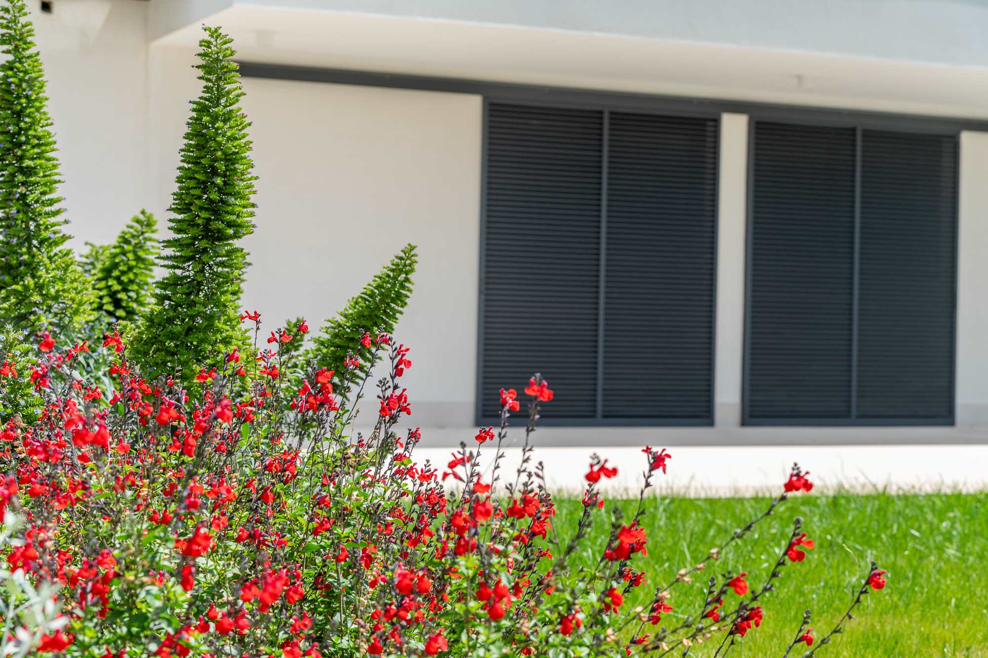 Diseño de jardín en Bonaire, Mallorca | Jardinería Bisanyes