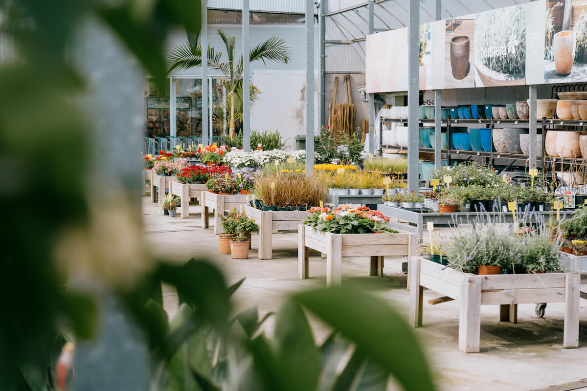 Plantas y jardinería en Mallorca | Jardinería Bisanyes