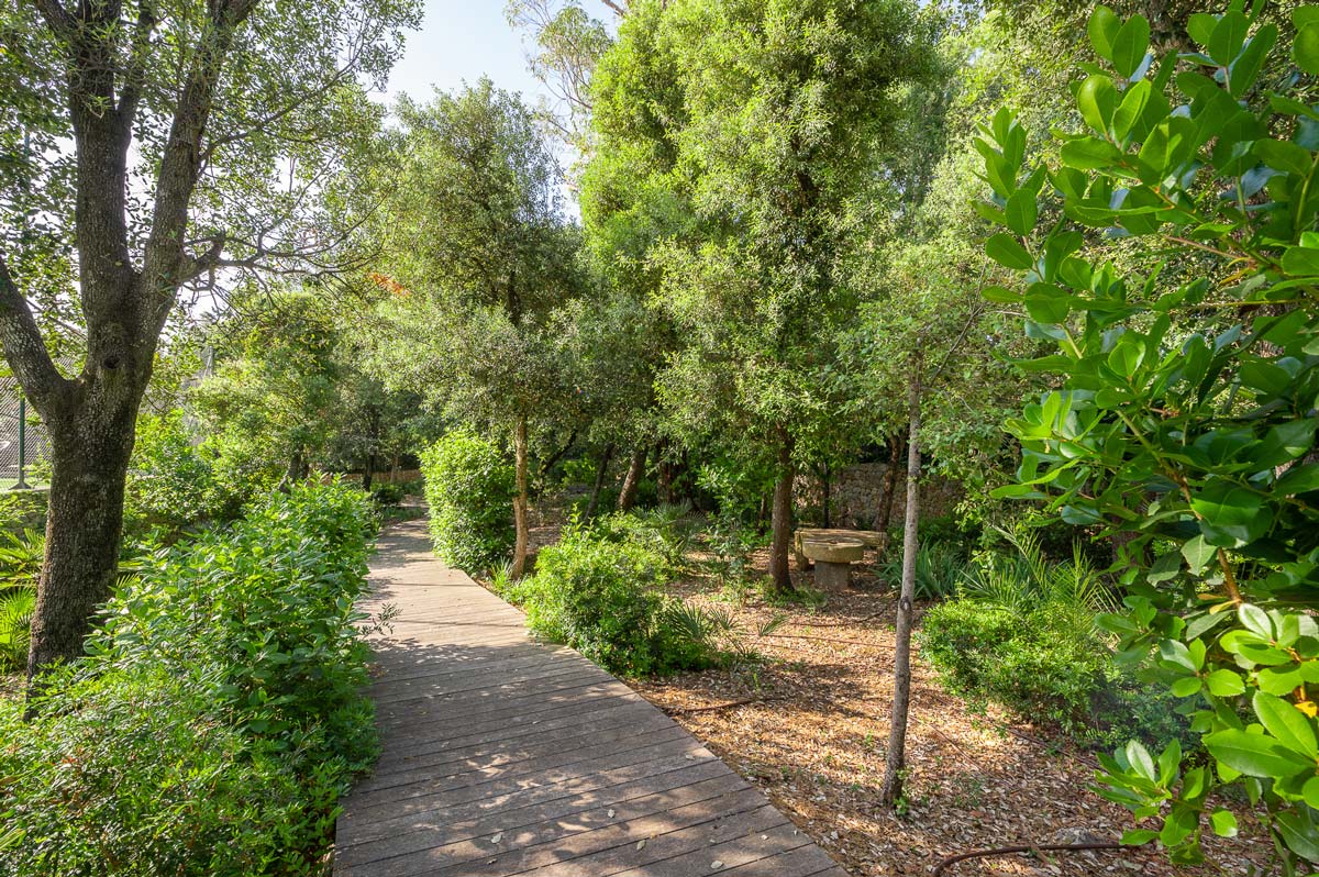 Diseño de jardín en La Font, Mallorca | Jardinería Bisanyes