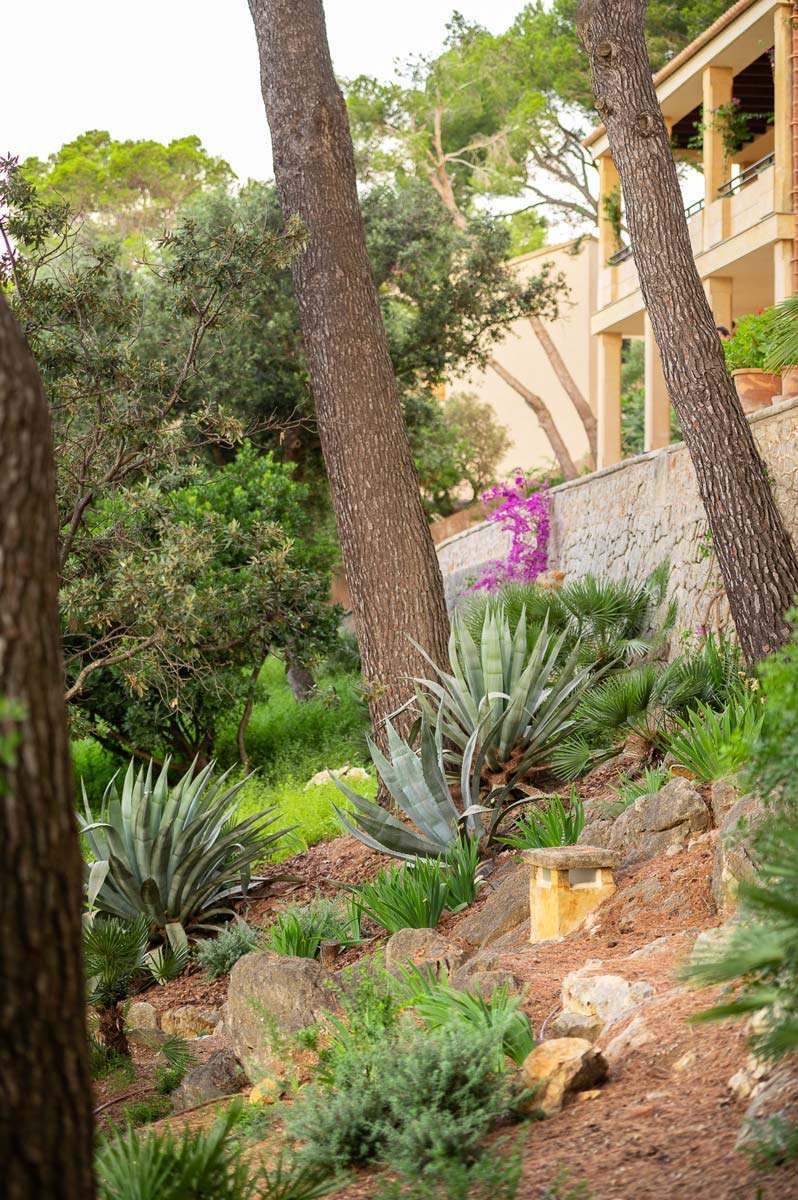 Diseño de jardín en Bunyola, Mallorca | Jardinería Bisanyes