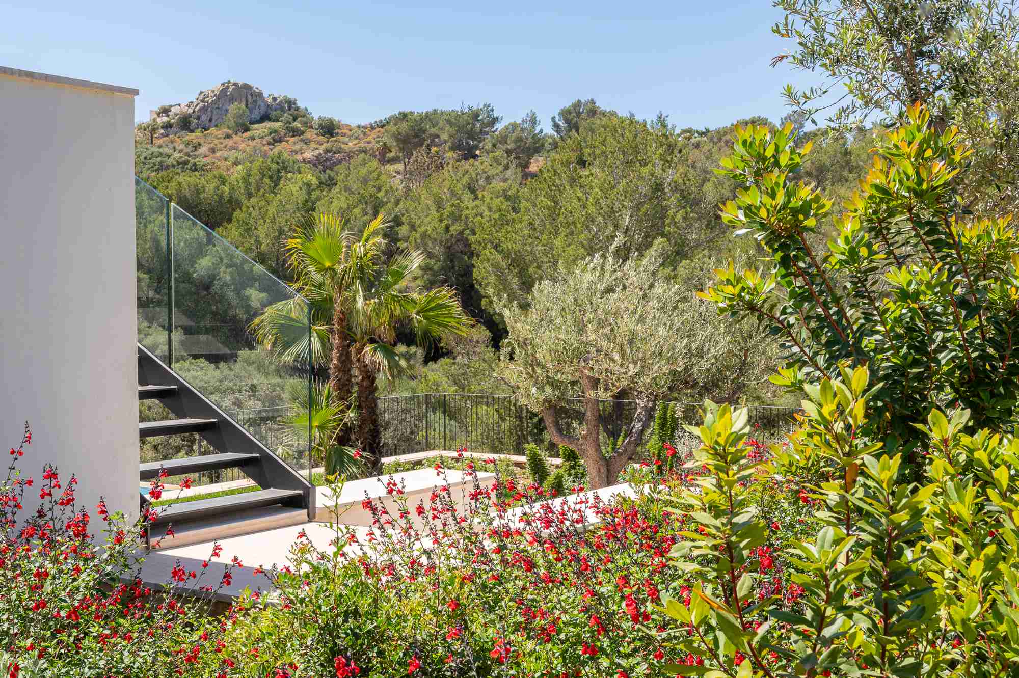 Diseño de jardín en Bonaire, Mallorca | Jardinería Bisanyes