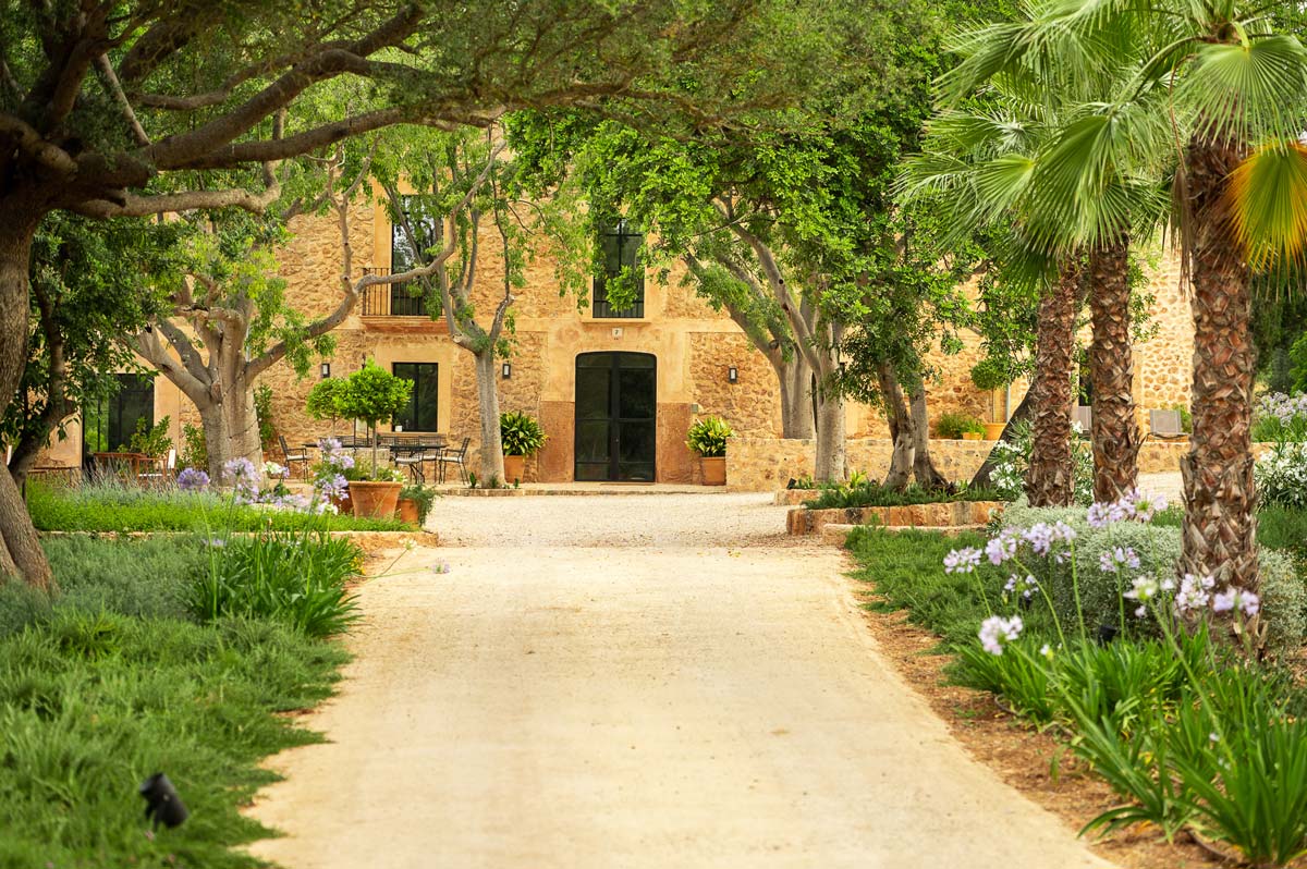 Diseño de jardín en Bunyola, Mallorca | Jardinería Bisanyes