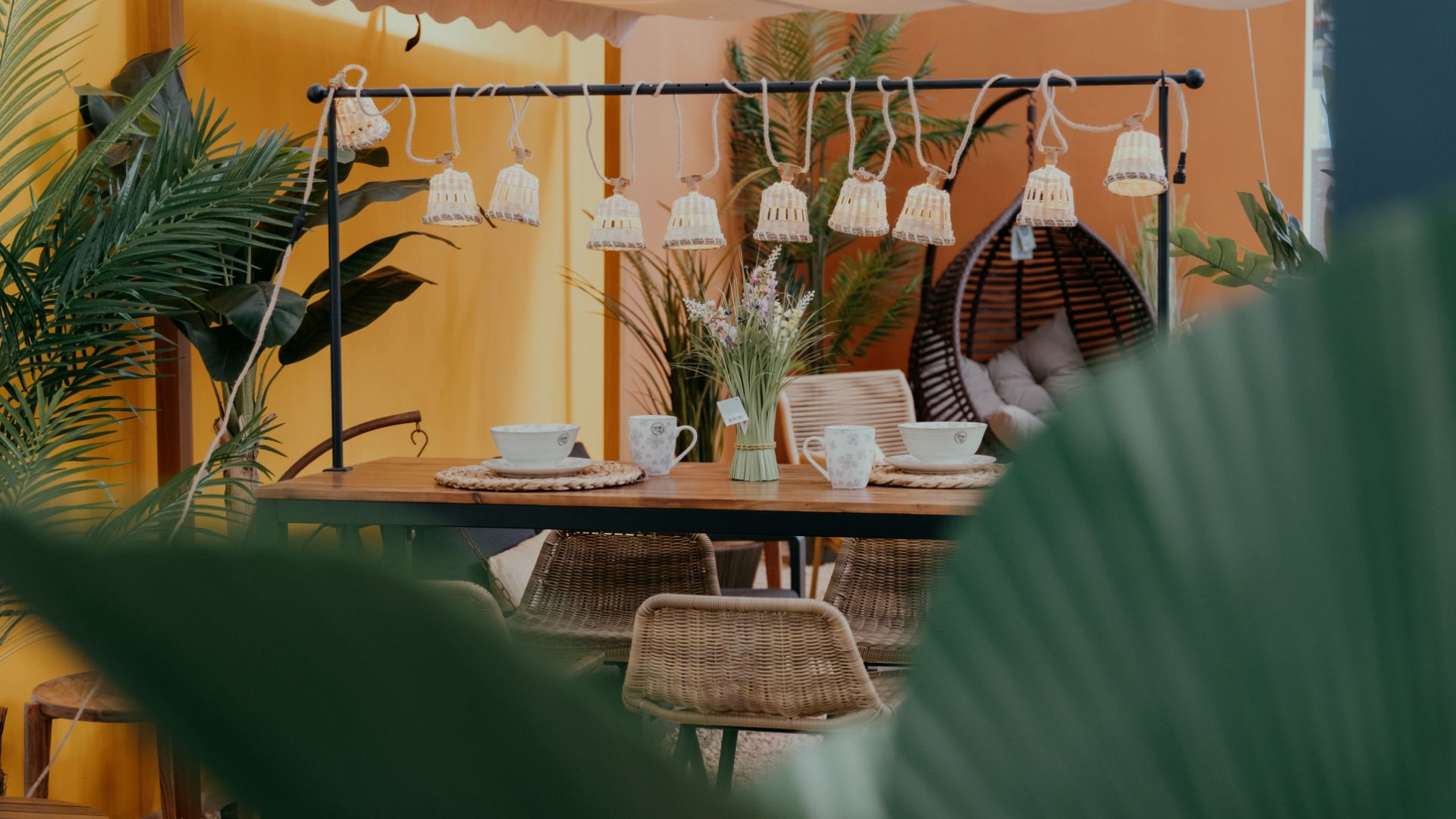 Your trusted garden center in the north of Mallorca