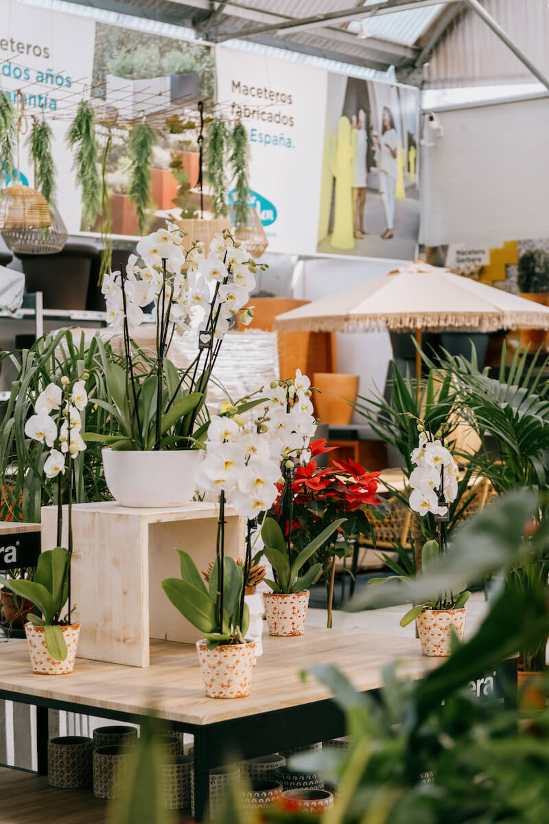 Plantas y jardinería en Mallorca | Jardinería Bisanyes