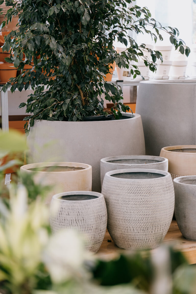 Decoración para casa y jardín | Jardinería Bisanyes