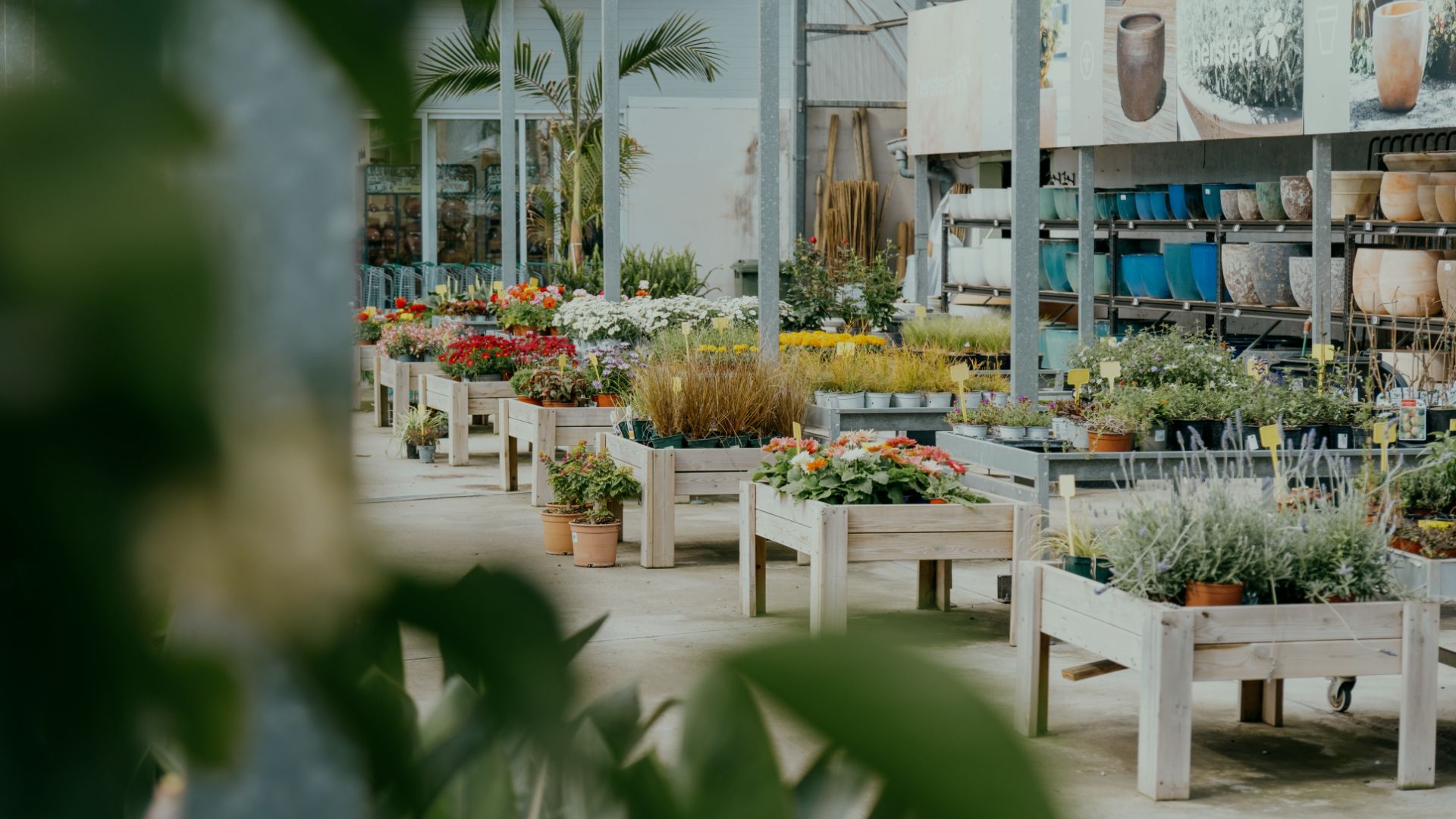 Your trusted garden center in the north of Mallorca
